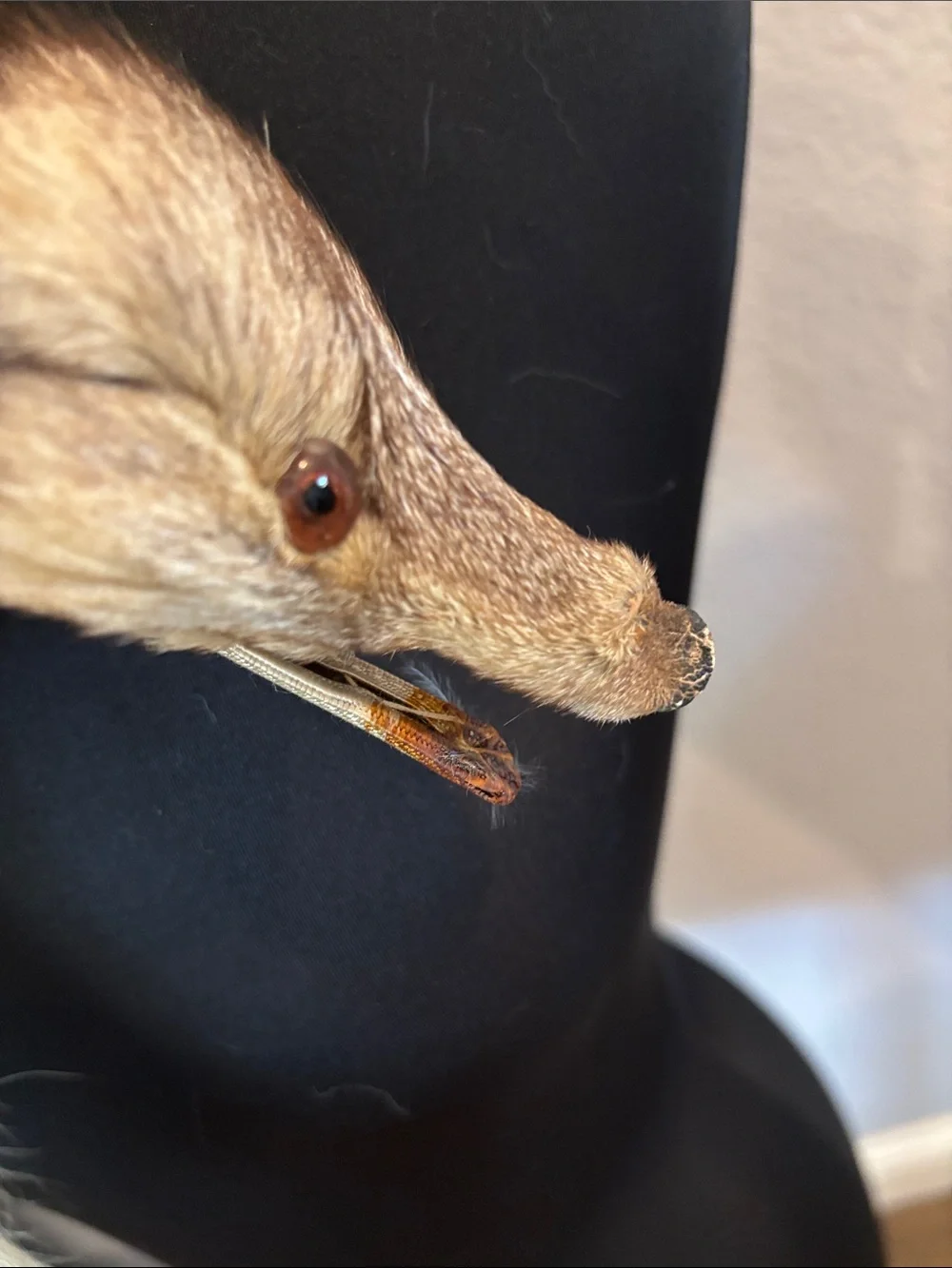 Vintage Mink Fur Stole in Natural Blonde and Brown Tones